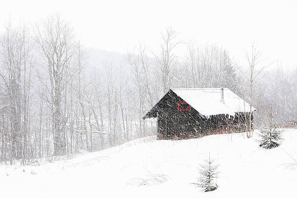 Winter Scenery at Savoy Mountain State Park by Juergen Roth Winter Scenery at Savoy Mountain State Park by Juergen Roth