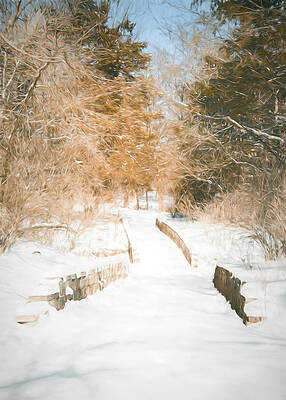 Winter Trail and Bridge by Allin Sorenson Winter Trail and Bridge by Allin Sorenson