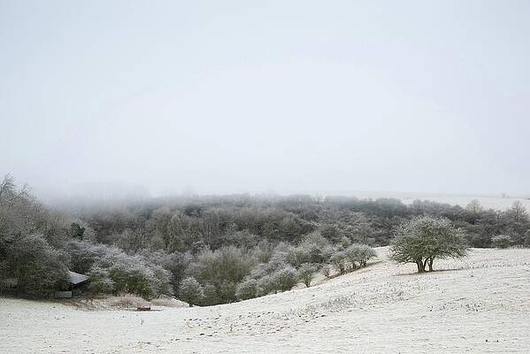 Winter Transformation, The Cotswolds, England, UK by Sarah Howard Winter Transformation, The Cotswolds, England, UK by Sarah Howard