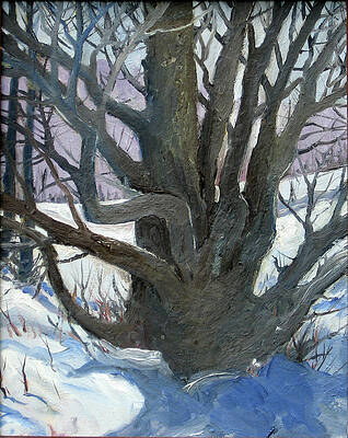 Winter Trees 3 - White Willow - Original Oil 16x20 by Doug Jerving Winter Trees 3 - White Willow - Original Oil 16x20 by Doug Jerving