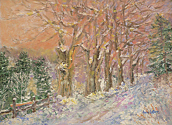 Winter walk by Terre Lefferts Winter walk by Terre Lefferts