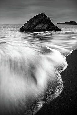 Wall Art - Photograph - Withstanding Nature by Andy Bitterer