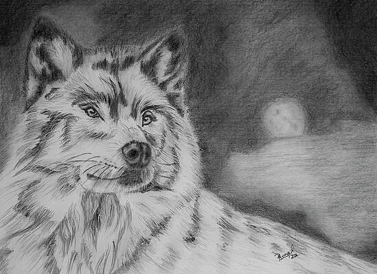 Wolf: Tshirt - Impressive Portrait | Animal Den