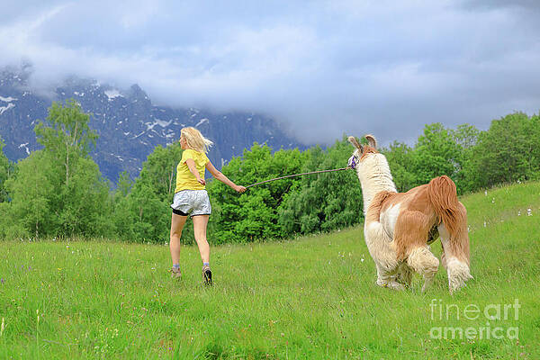 woman running with alpaca on Comino mount by Benny Marty woman running with alpaca on Comino mount by Benny Marty