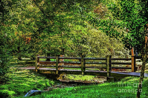 Wooden bridge over rocky stream in woods in early autumn with light and shadow by Susan Vineyard Wooden bridge over rocky stream in woods in early autumn with light and shadow by Susan Vineyard