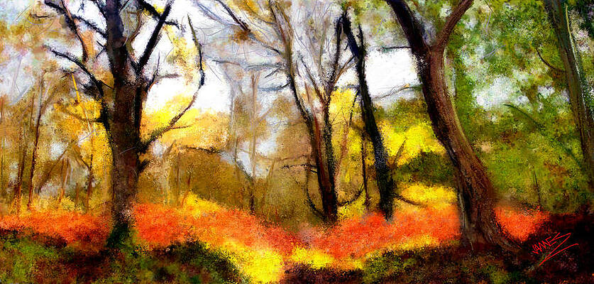 Woods Autumn by James Shepherd Woods Autumn by James Shepherd
