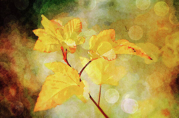 Wall Art - Mixed Media - Yellow Autumn Leaves with Bokeh Lights  by Shelli Fitzpatrick