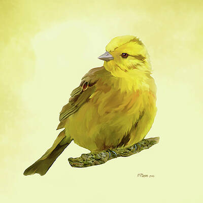 Wall Art - Painting - Yellowhammer by Bamalam Art