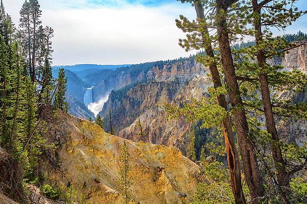 Yellowstone No. 44 by Marisa Geraghty Photography Yellowstone No. 44 by Marisa Geraghty Photography