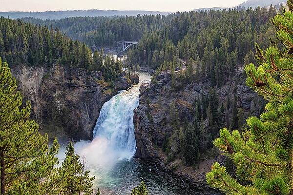 Yellowstone No. 53 by Marisa Geraghty Photography Yellowstone No. 53 by Marisa Geraghty Photography