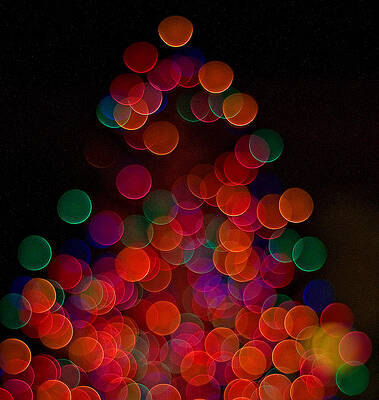 Yuletide Vibe by John Harding Yuletide Vibe by John Harding