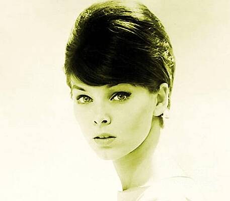 Yvonne Craig, Vintage Actress #4 Painting by Esoterica Art Agency - Fine  Art America