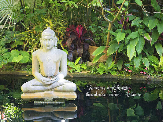 Zen by Jacqueline Sleter Zen by Jacqueline Sleter