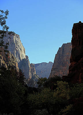 Wall Art - Photograph - Zion National Park - Zion Canyon by Richard Krebs