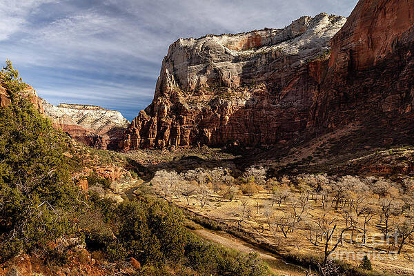 Wall Art - Photograph - Zion NP - Zion Canyon and Virgin River by Craig A Walker