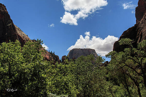 Wall Art - Photograph - Zion UT - U.S. National Parks - Snapshot 16 by Ronald Reid