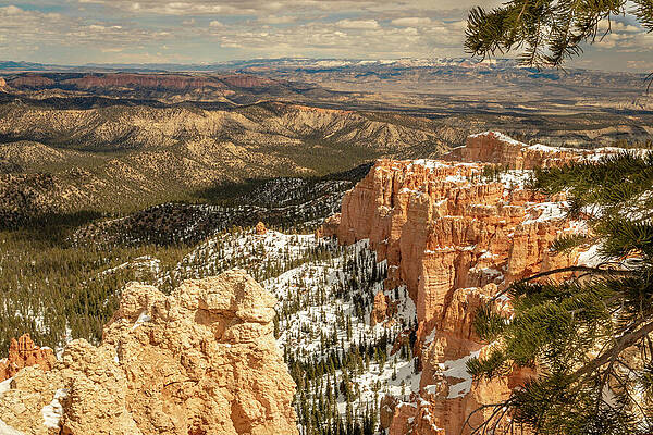Wall Art - Photograph - Zion_0831 by Mark Triplett