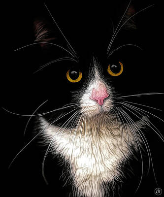 Zoe by Rick Wiles Zoe by Rick Wiles