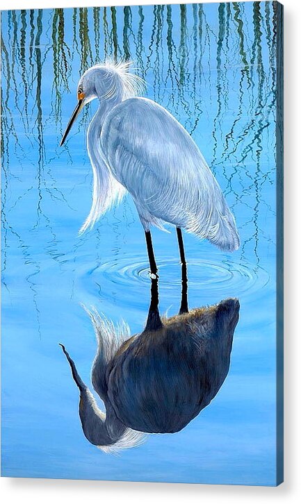 Snowy Egret Acrylic Print featuring the painting Narcissus by AnnaJo Vahle