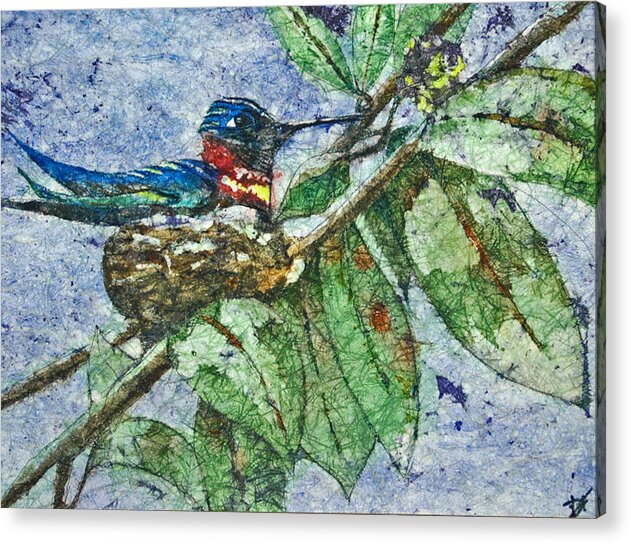 Hummingbird Acrylic Print featuring the painting Proud Anna by Diane Fujimoto
