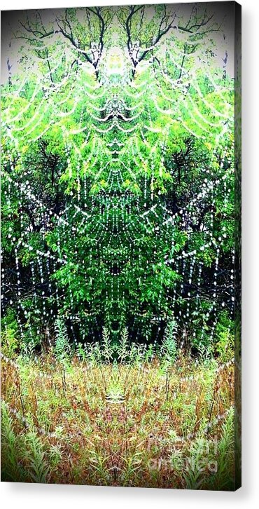 Spider Web Acrylic Print featuring the photograph Spider Web 1 by Karen Newell