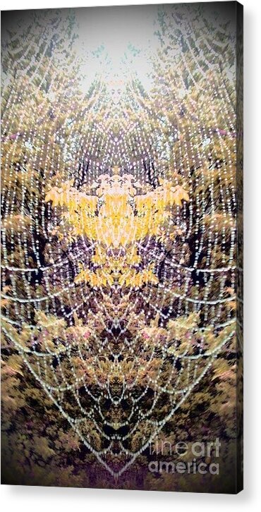 Spider Web Acrylic Print featuring the photograph Spider Web 2 by Karen Newell