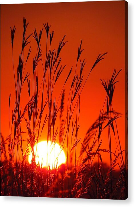 Sunset Acrylic Print featuring the photograph Sunset at the Sweet Marsh by Lori Frisch