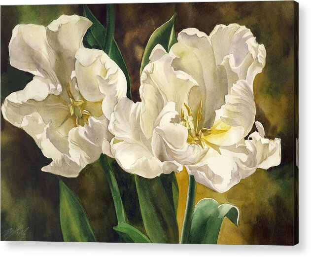 Watercolor Acrylic Print featuring the White Parrot Tulips by Alfred Ng