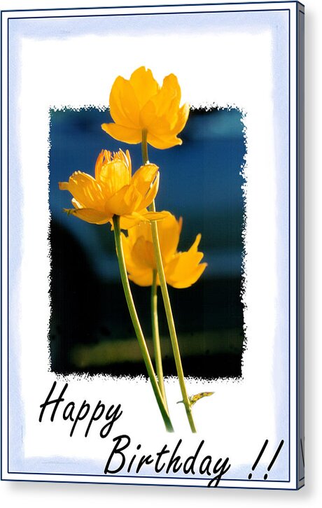 Yellow Flower Acrylic Print featuring the photograph Yellow Flower 2 by Helene U Taylor