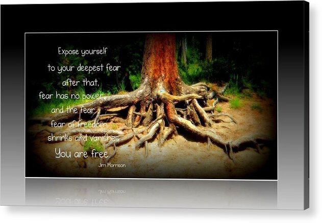 Roots Acrylic Print featuring the photograph Expose yourself by Michelle Frizzell-Thompson