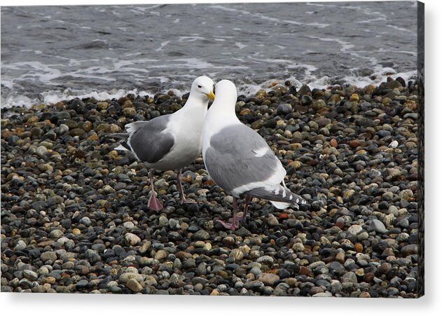  Photography Acrylic Print featuring the photograph Kiss by Sergey Nassyrov