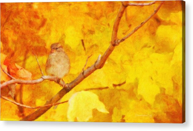 Autumn Acrylic Print featuring the photograph Autumn Splendor by Diane Lindon Coy
