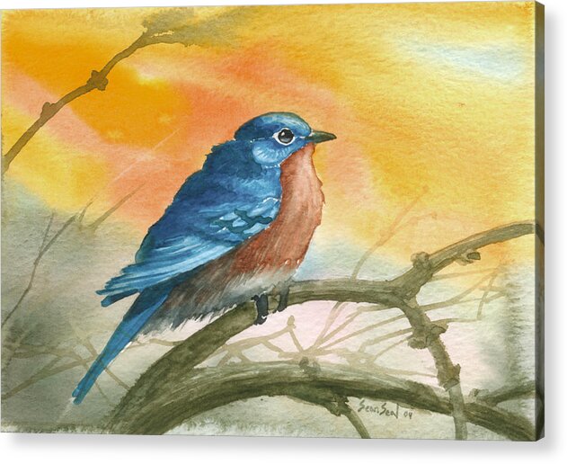 Bluebird Acrylic Print featuring the painting Bluebird by Sean Seal