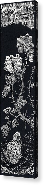 Floral Acrylic Print featuring the drawing Buffalo Burr and Toad by Dawn Senior-Trask