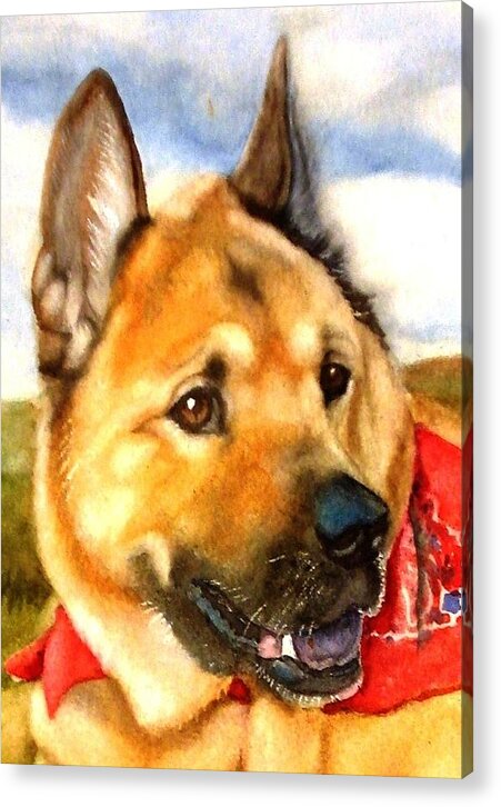 Chow Acrylic Print featuring the painting Chow Shepherd mix by Marilyn Jacobson