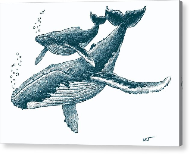 Humpback Whale Acrylic Print featuring the digital art Hawaiian Humpback Whale blue by Stephen Jorgensen