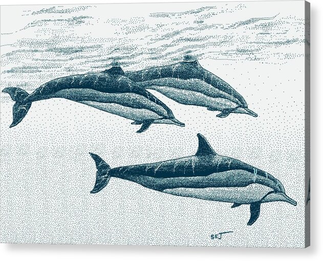 Spinner Dolphin Acrylic Print featuring the digital art Hawaiian Spinner Dolphin blue by Stephen Jorgensen