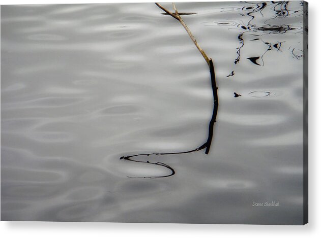 Water Acrylic Print featuring the Illusionary by Donna Blackhall