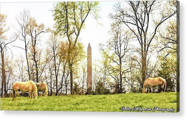 Jefferson Davis Monument Acrylic Print featuring the photograph Jefferson Davis Monument Horses by Chad Fuller