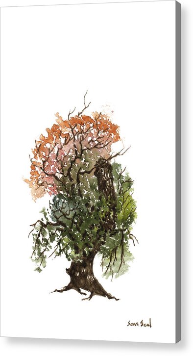 Thanksgiving Acrylic Print featuring the painting Little Tree 71 by Sean Seal