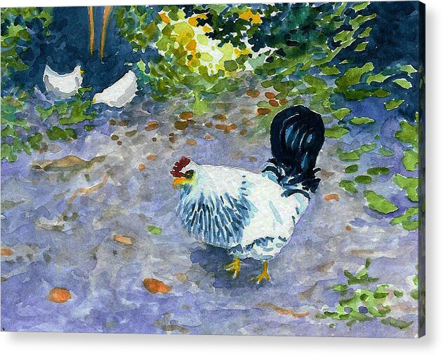 Chicken Acrylic Print featuring the painting Middleboro Ruler by Anne Marie Brown