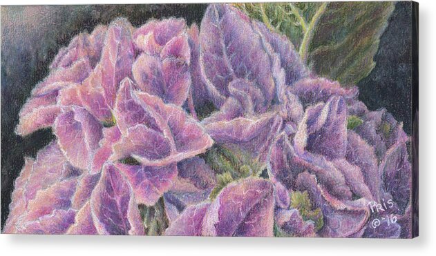 Flowers Acrylic Print featuring the drawing Spring Sale by Pris Hardy