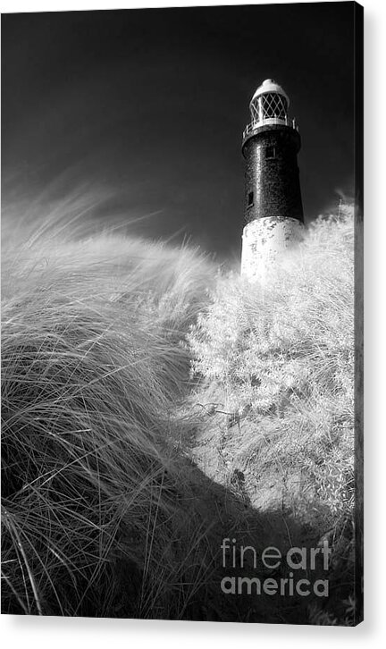 Spurn Point Acrylic Print featuring the photograph Spurn Lighthouse by Richard Burdon