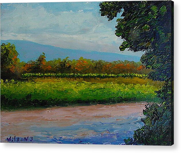 Landscape Acrylic Print featuring the painting Sunlit Vinyard by Fred Wilson