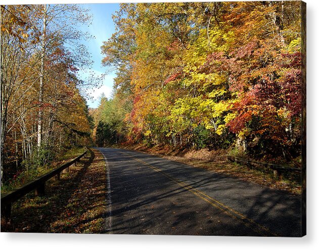 Road Acrylic Print featuring the photograph The fall drive by David Campione