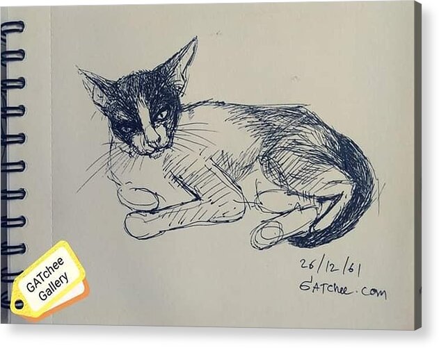 Cat Acrylic Print featuring the drawing Angry GATchee by Sukalya Chearanantana