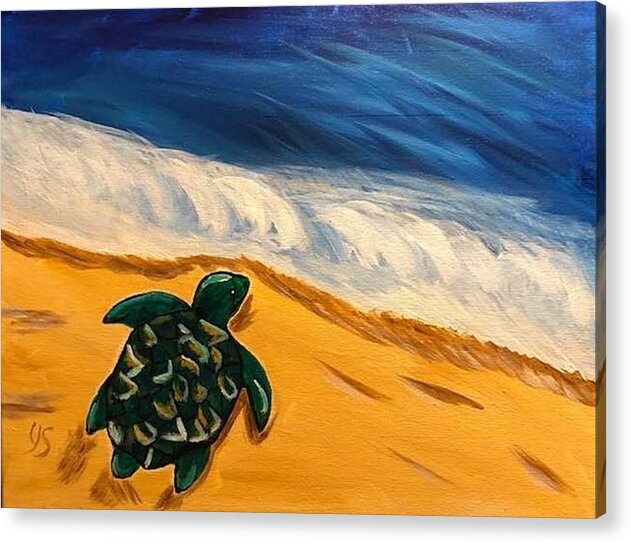 Turtle Acrylic Print featuring the painting Headed to the Sea by Yvonne Sewell
