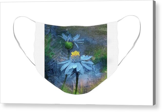  Acrylic Print featuring the photograph Little Blue Flowers Face mask by Jerry Griffin