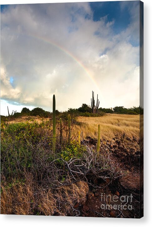 Landscape Acrylic Print featuring the photograph Rainbow on the savane by Matteo Colombo