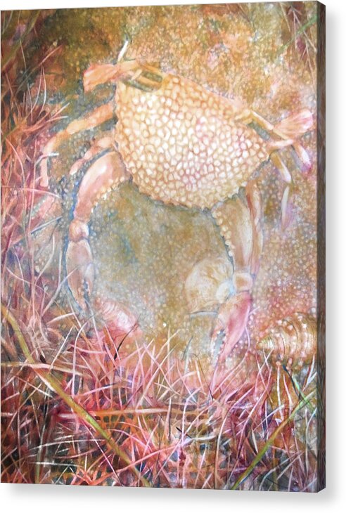Beach Acrylic Print featuring the painting Crabby by Cora Marshall